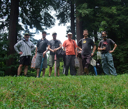 Disc Golf New Zealand